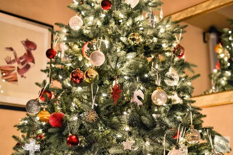 Kerstboom opruimen: laten ophalen of wegbrengen