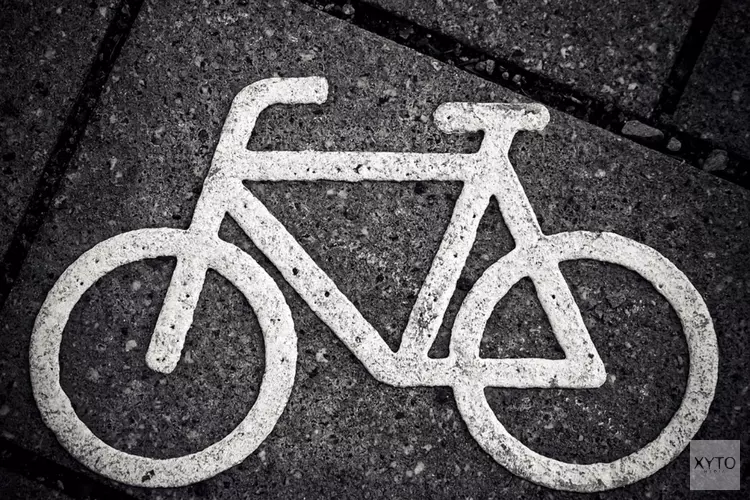 Westvlietweg: oversteekplaats voor fietsers