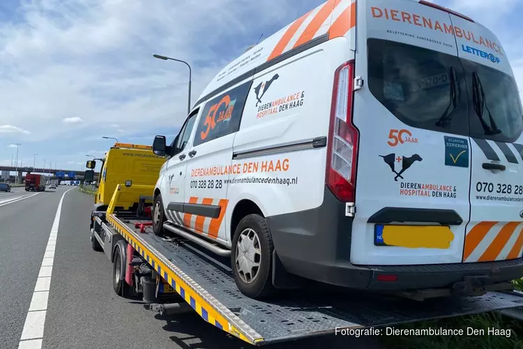 Rampscenario herhaalt zich: motor dierenambulance van Dierenambulance Den Haag kapot in drukste tijd van het jaar