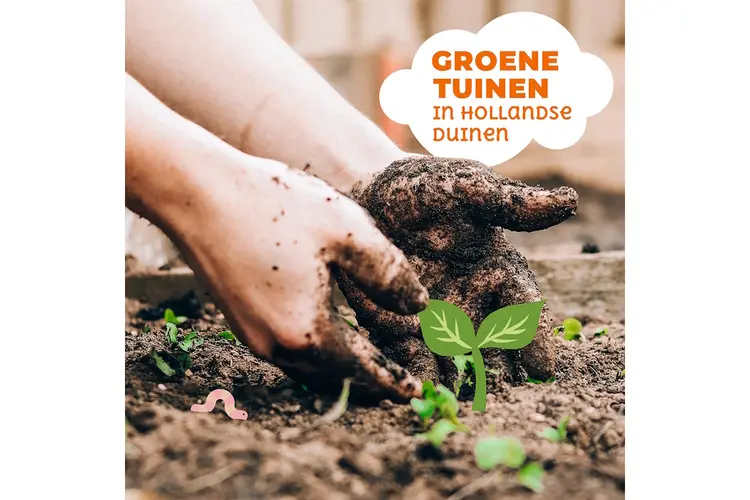 Groene Tuinen in Hollandse Duinen introduceert gratis tuinontwerpen en handige boodschappenlijstjes voor inwoners van Zuid-Holland