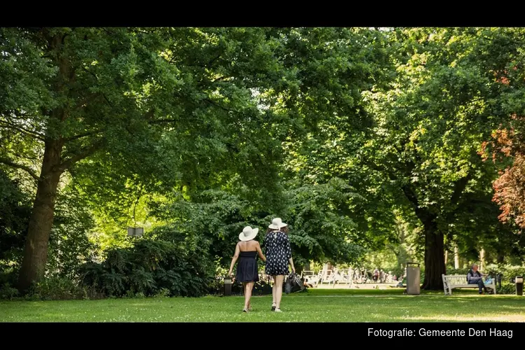 Bezoekers Paleistuin: houd u aan de regels