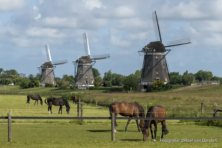 Molenwandeltocht op zondag 25 augustus 2024