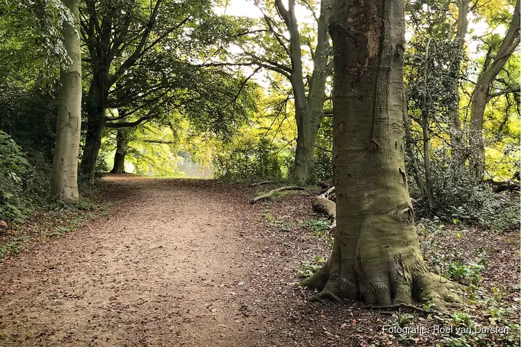 Herfstwandeling én Dobbeloop op zondag 27 oktober