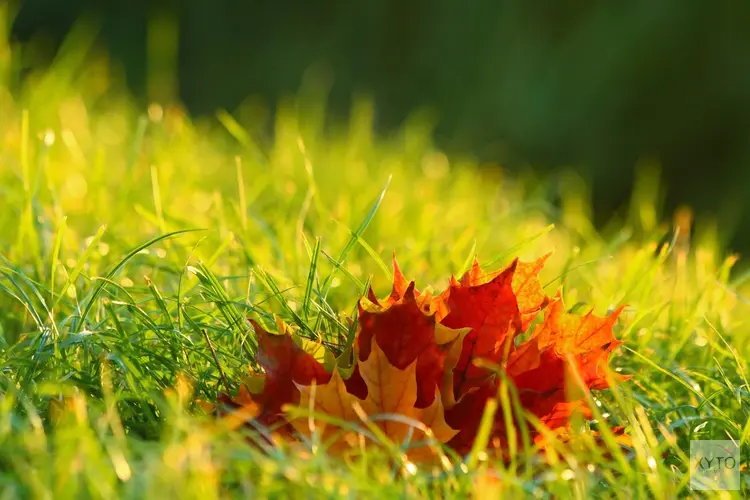 Ook komende herfstweek zacht met af en toe buien