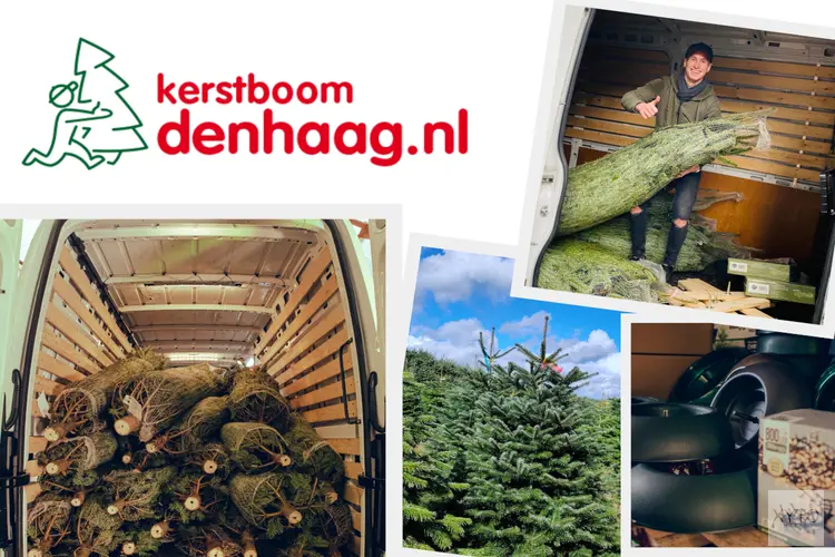 Kerstboom Kopen in Den Haag? Vind de Perfecte Nordmann bij Kerstboom Den Haag