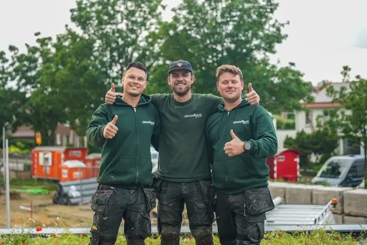 Groene daken en boomverzorging voor een duurzamer Den Haag